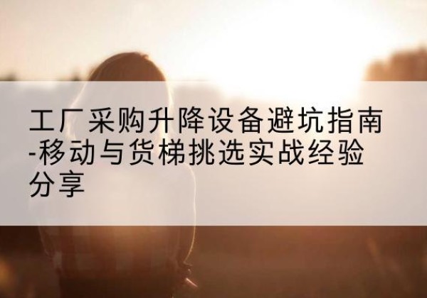 汉阴移动式升降机怎么选-工厂采购升降设备避坑指南-移动与货梯挑选实战经验分享