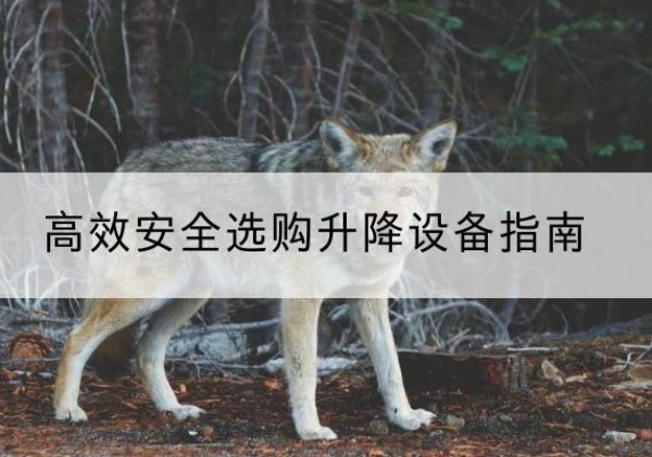 汉阴升降货梯厂家推荐-*安全选购升降设备指南