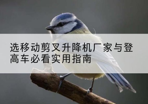 汉阴电动升降机厂家-选移动剪叉升降机厂家与登高车必看实用指南