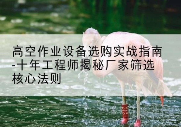 汉阴剪叉式升降机厂家-高空作业设备选购实战指南-十年工程师揭秘厂家筛选核心法则