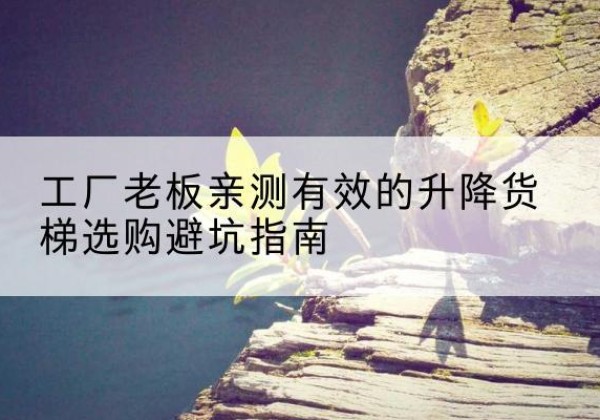 汉阴升降货梯怎么选-工厂老板亲测有效的升降货梯选购避坑指南